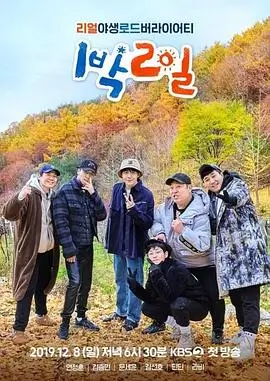 一周一间民宿 旅行慢综艺